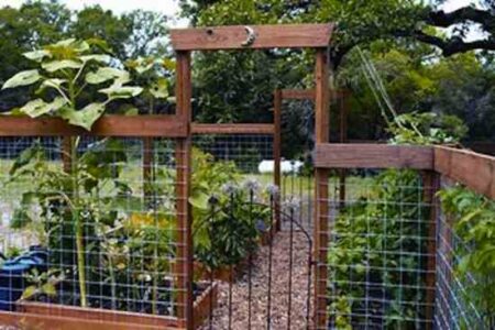 Country Lore: Sold on Our Square-foot Garden Image